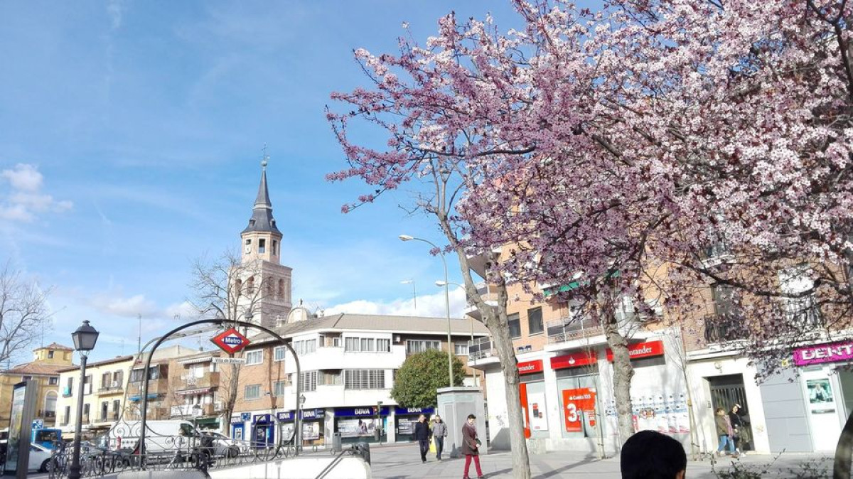 Fondo Villa de Vallecas, Madrid Capital