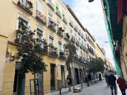 Calle La Palma